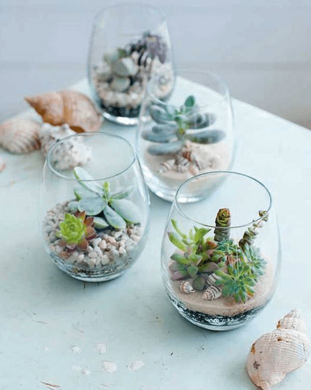 Coastal style terrarium theme